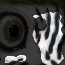 layer3-667