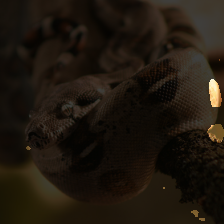 layer2-267