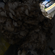 layer4-906