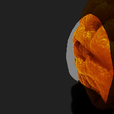 layer4-1002