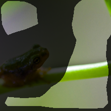 layer4-401