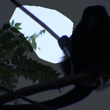 layer4-1007