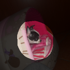 layer4-146