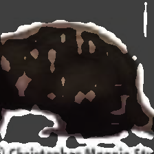 layer2-264