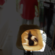 layer4-158