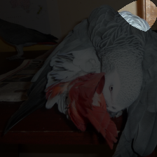 layer4-297