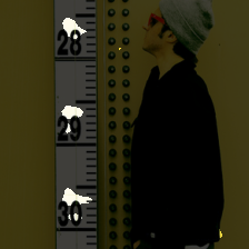 layer2-310