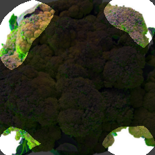 layer4-208