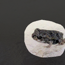 layer4-281
