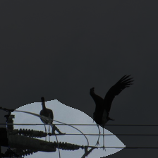 layer4-814
