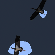 layer4-414