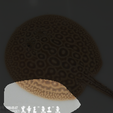 layer4-1142