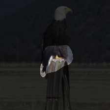 layer3-676