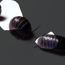 layer4-621