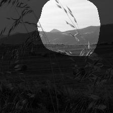 layer4-697