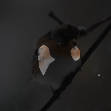 layer3-664