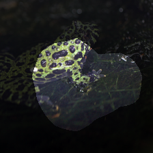 layer4-1533
