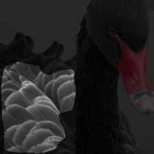 layer3-665