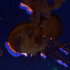 layer2-398