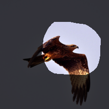 layer4-1221