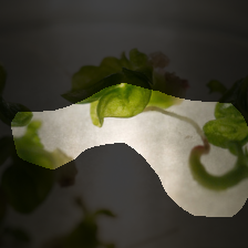 layer4-1221