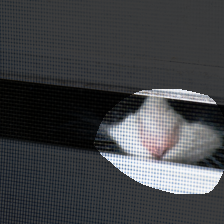 layer4-1839
