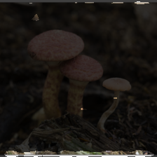 layer2-409