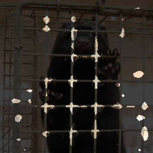 layer2-409