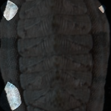 layer4-1275