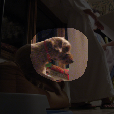 layer4-628
