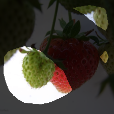 layer4-857