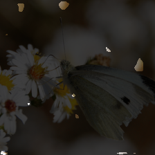 layer1-57
