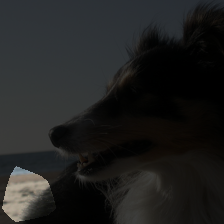 layer4-1478