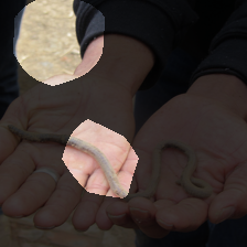 layer4-1478