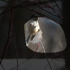 layer4-303