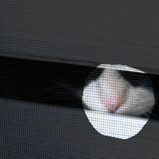 layer4-1748