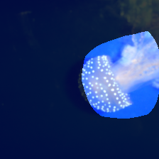 layer4-1748