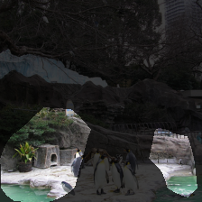layer4-1632