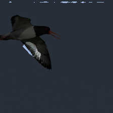 layer2-263