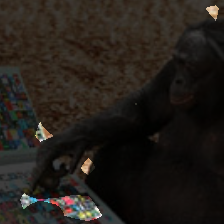 layer3-246