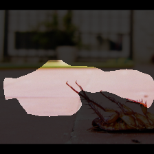layer3-118