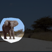 layer4-1355