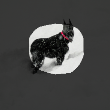 layer4-2019