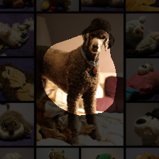 layer4-2019