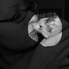 layer4-357