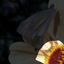 layer4-1486
