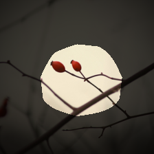 layer4-1486