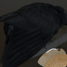layer4-1173