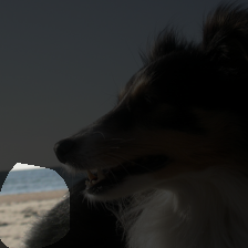 layer4-2039