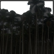 4-126